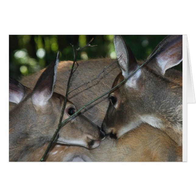 Compassion et respect de nature (Devant horizontal)