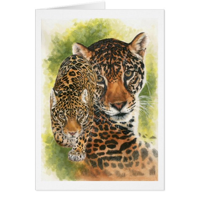 Compétitif (Devant)