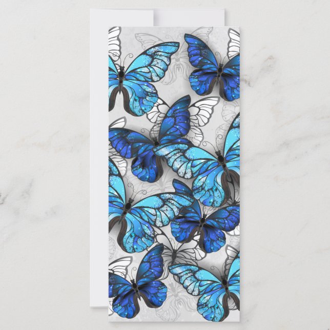 Composition de papillons blancs et bleus (Devant)