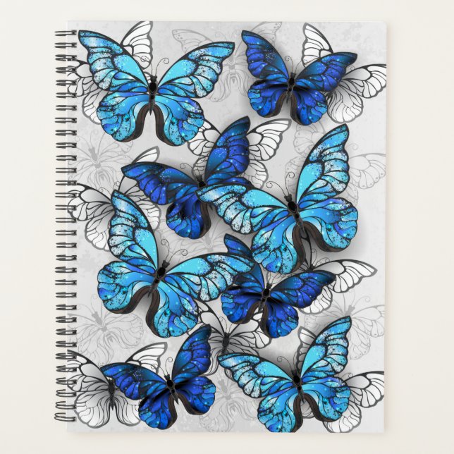 Composition des White and Blue Butterflies (Devant)
