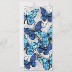 Composition des White and Blue Butterflies