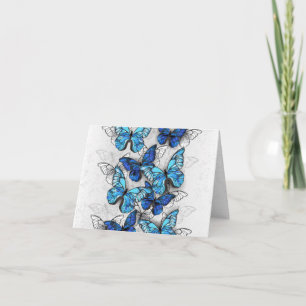 Composition des White and Blue Butterflies