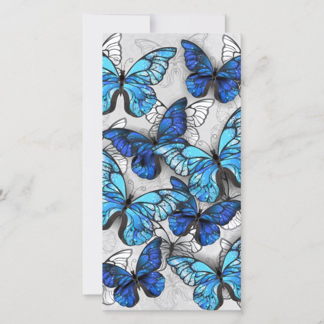Composition des White and Blue Butterflies (Devant)