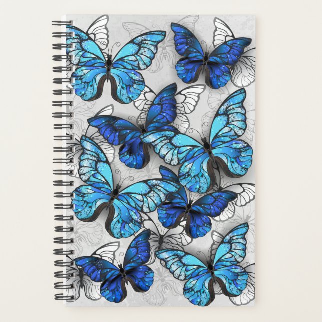Composition des White and Blue Butterflies (Devant)