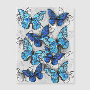 Composition des White and Blue Butterflies