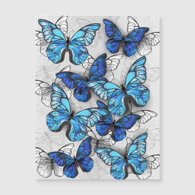 Composition des White and Blue Butterflies (Devant)