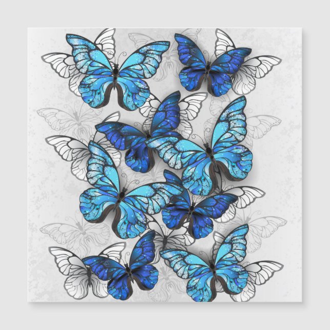Composition des White and Blue Butterflies (Devant)