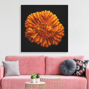 Composition Lichen - Impression d'art en toile