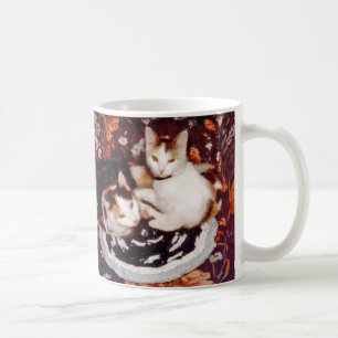 Comprendre la Mug des chats