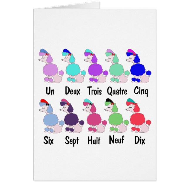 Compte du caniche français (Devant)