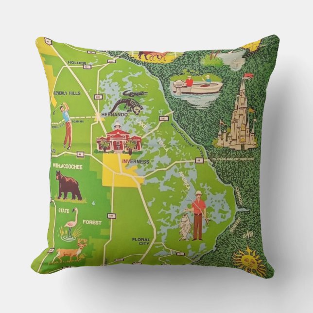 Comté de Citrus Floride Coussin personnalisé illus (Recto)