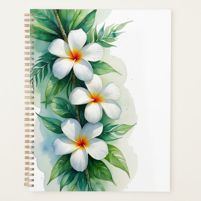 Conception aquarelle de plumeria tropical boho et  (Devant)