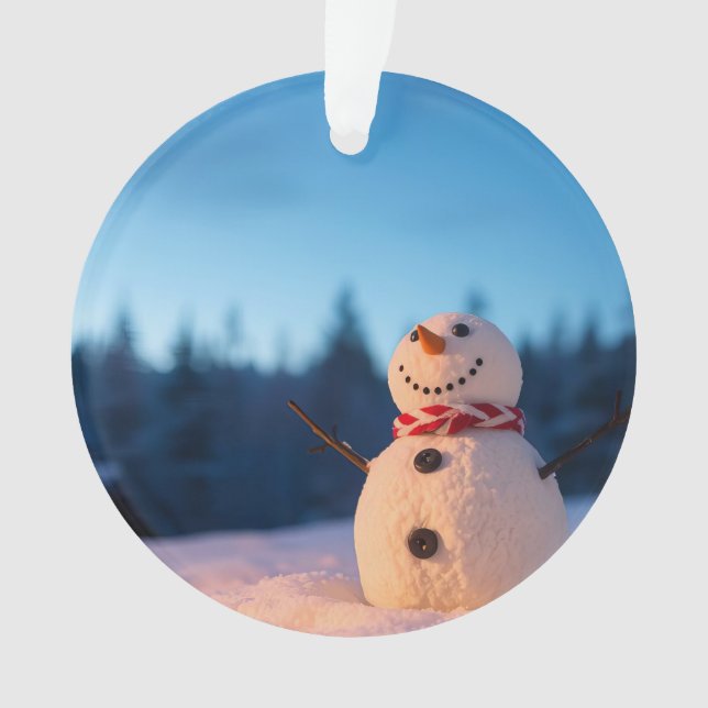 Conception de bonhomme de neige pour la joie de l' (devant)
