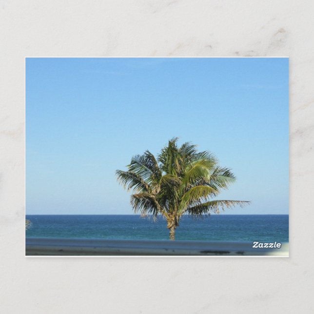 Conception de carte postale de l'horizon de l'océa (Dos)