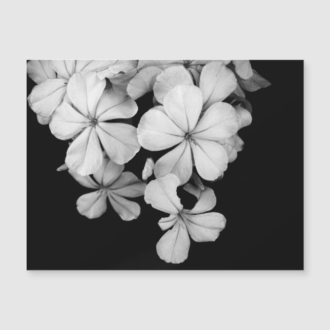 Conception de carte postale noir et blanc (Devant)