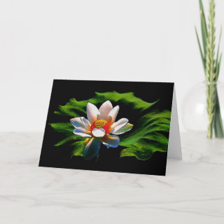Conception de fleur de Lotus toute la carte de