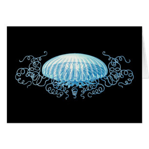 Conception de la méduse Haeckel