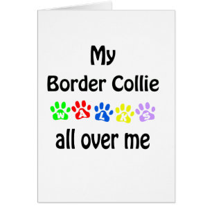 Conception de la promenade Collie Bordure