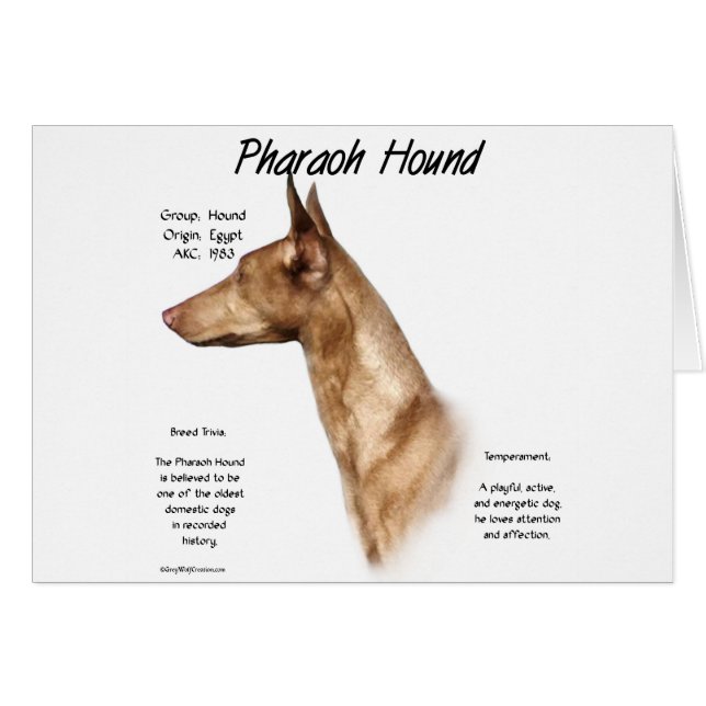 Conception de l'histoire de la peau du pharaon (Devant horizontal)