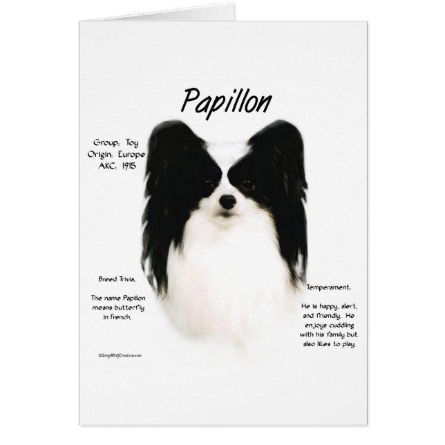 Conception de l'histoire de Papillon (Devant)
