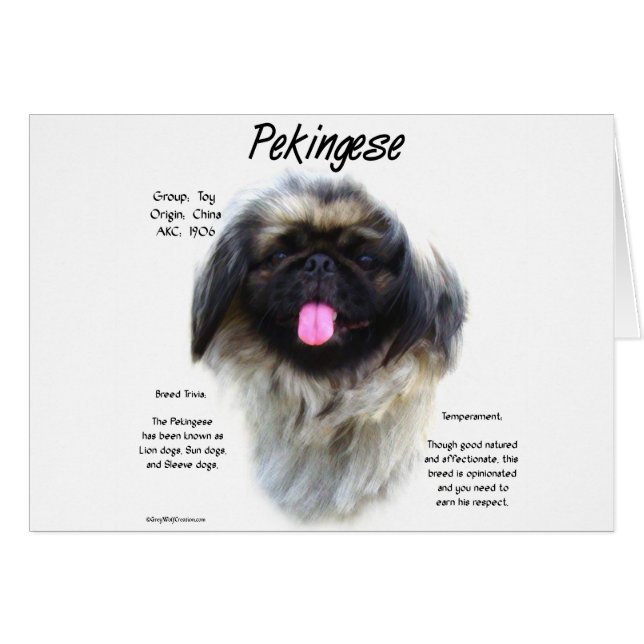 Conception de l'histoire de Pekingese (Devant horizontal)