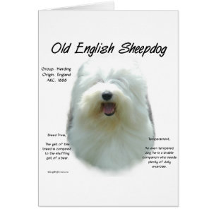 Conception de l'histoire des chiens de garde angla
