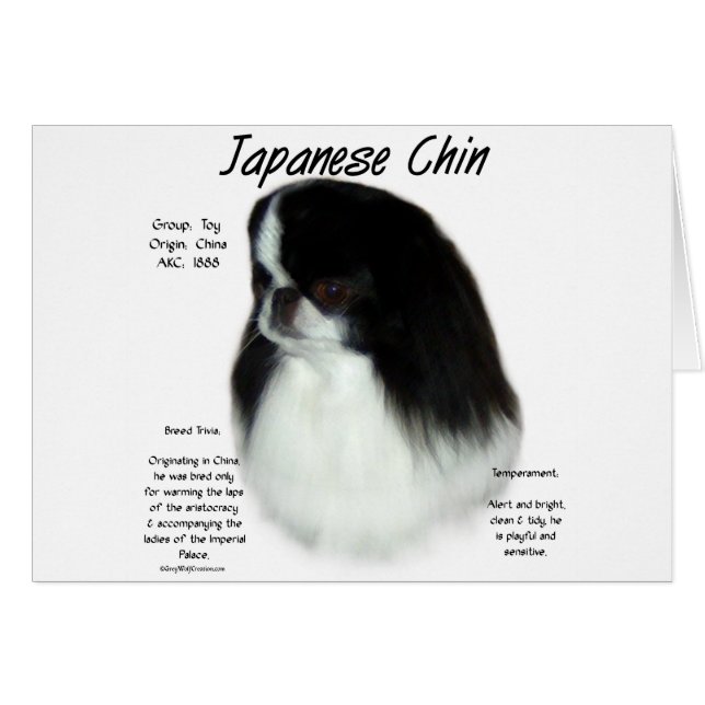 Conception de l'histoire du chinois japonais (Devant horizontal)