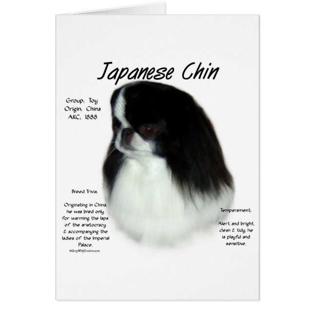 Conception de l'histoire du chinois japonais (Devant)