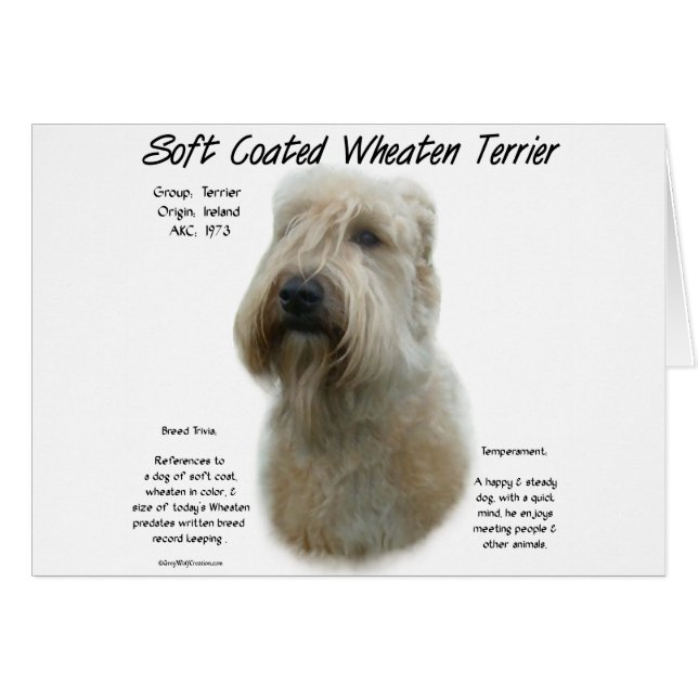 Conception de l'histoire du Terrier revêtu d'un re (Devant horizontal)