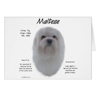 Conception de l'histoire maltaise