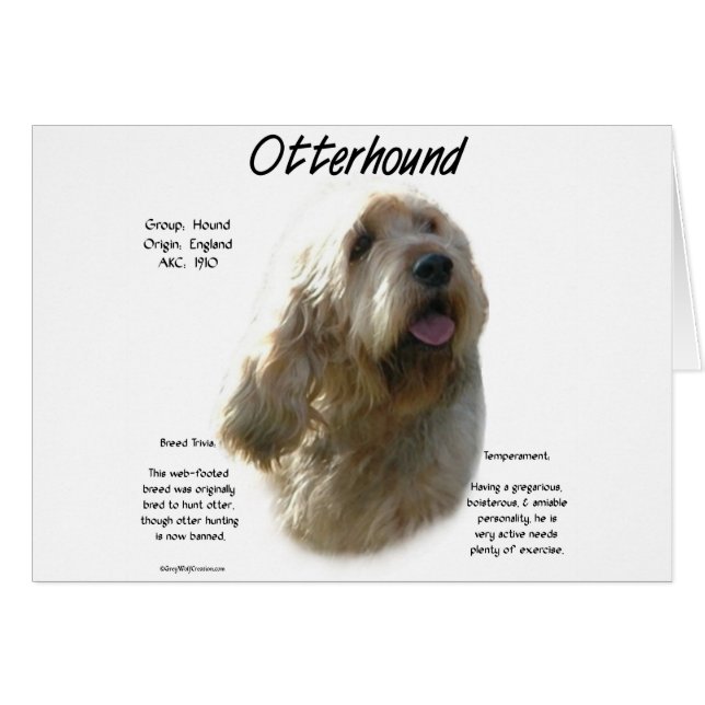 Conception de l'histoire otterhound (Devant horizontal)