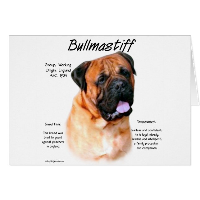 Conception de l'historique Bullmastiff (rouge) (Devant horizontal)