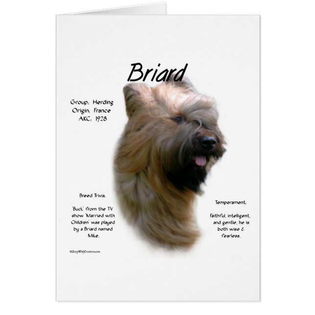 Conception de l'historique de Briard (tawny) (Devant)