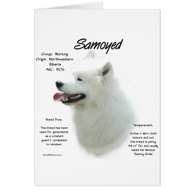 Conception de l'historique Samoyed (Devant)