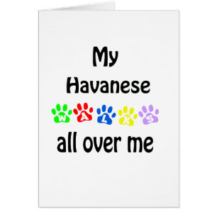 Conception de marches Havanais