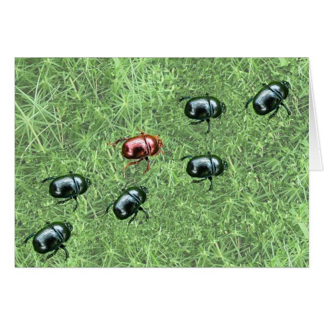 Conception des insectes (Devant horizontal)