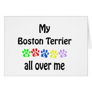 Conception des marches de Boston Terrier