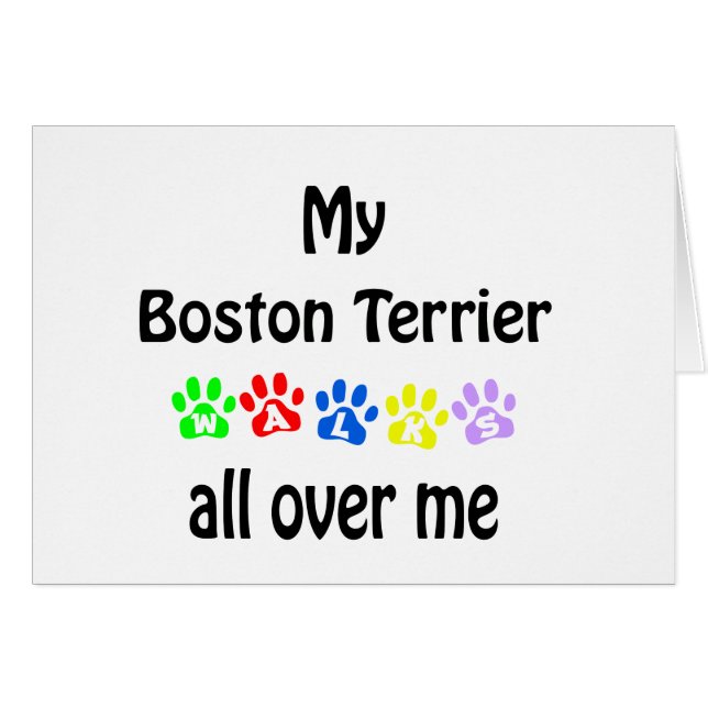 Conception des marches de Boston Terrier (Devant horizontal)
