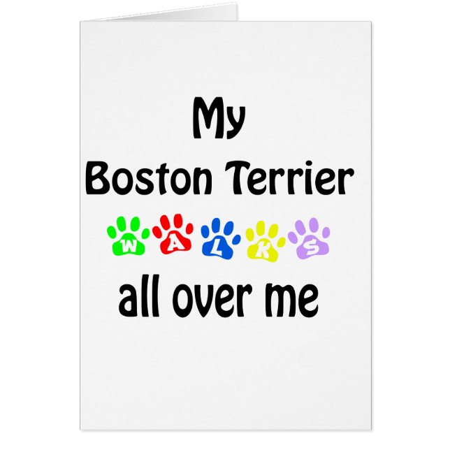 Conception des marches de Boston Terrier (Devant)