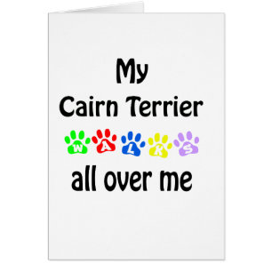 Conception des marches de Cairn Terrier