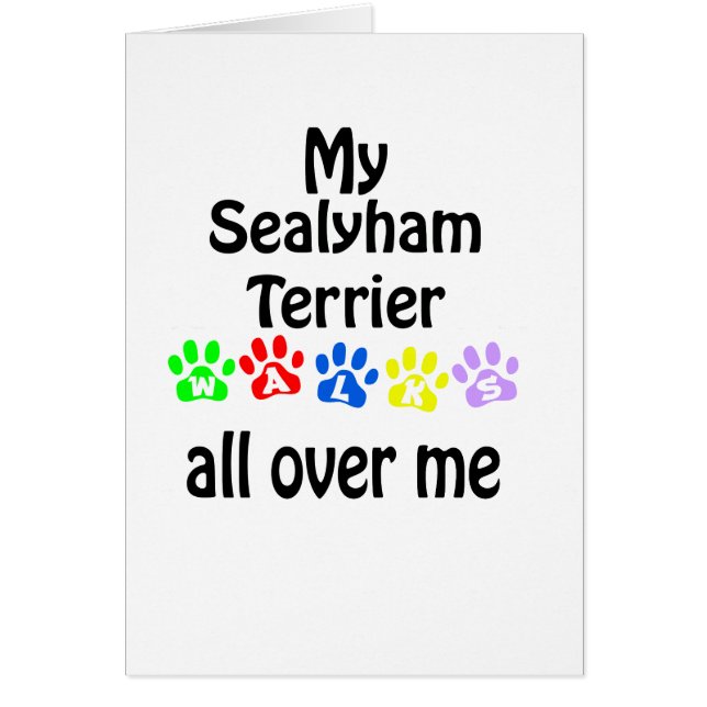 Conception des marches de Sealyham Terrier (Devant)