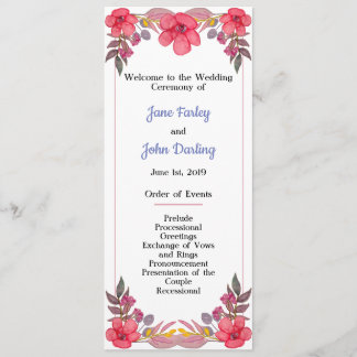 Conception du programme Pink Dusty