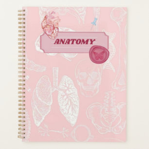 Conception esthétique d'anatomie rose pour étudian