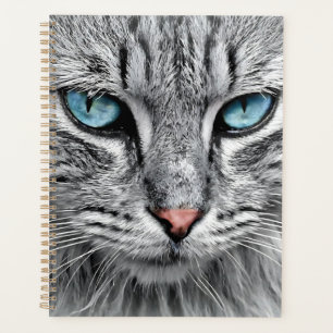 Conception fractale face chat-10682