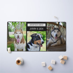Conception moderne Trois Chiens Bureau photo Mat