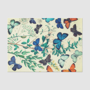Conception vintage de papillon de papier de soie