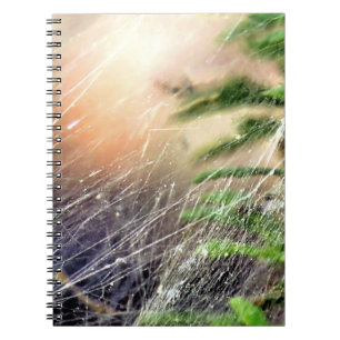 Conception Web - carnet