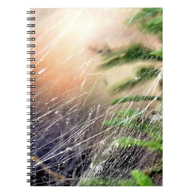 Conception Web - carnet (Devant)