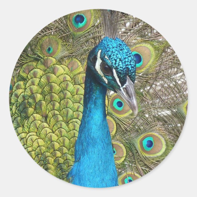 Concevez votre propre Stickers Photo Personnalisé  (Devant)