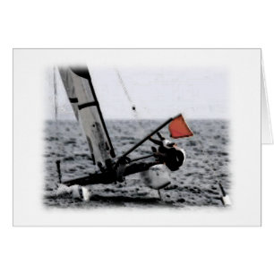 Concours voile Catamaran photo